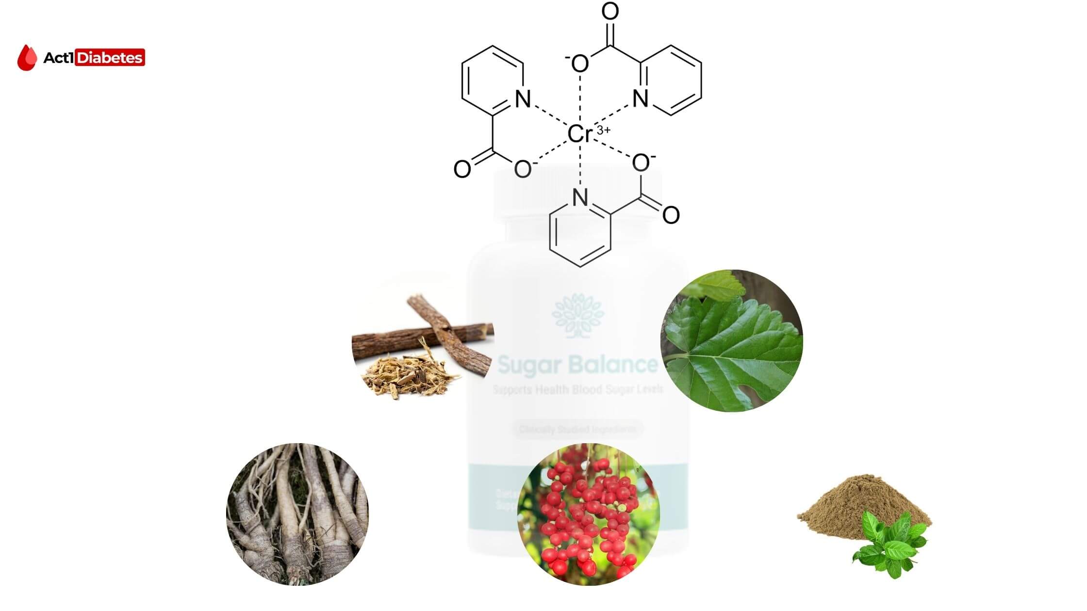  Sugar Balance Ingredients