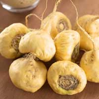 Maca root extract 